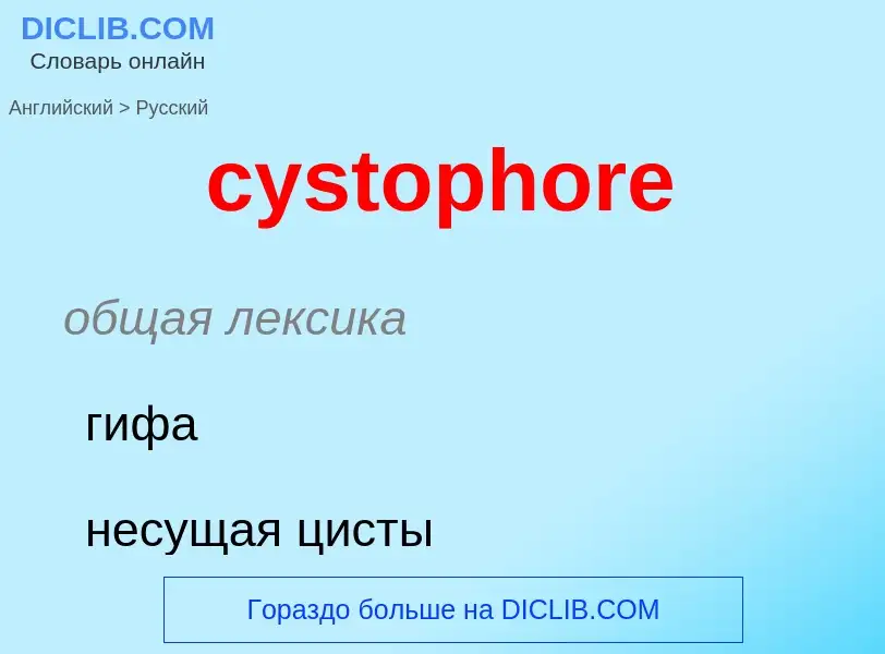 Как переводится cystophore на Русский язык