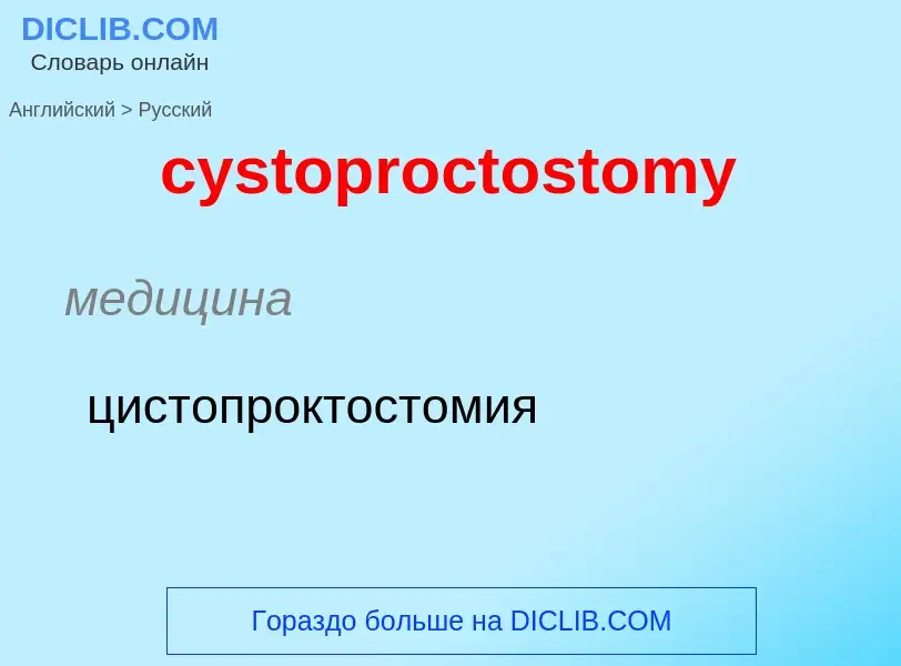 Как переводится cystoproctostomy на Русский язык