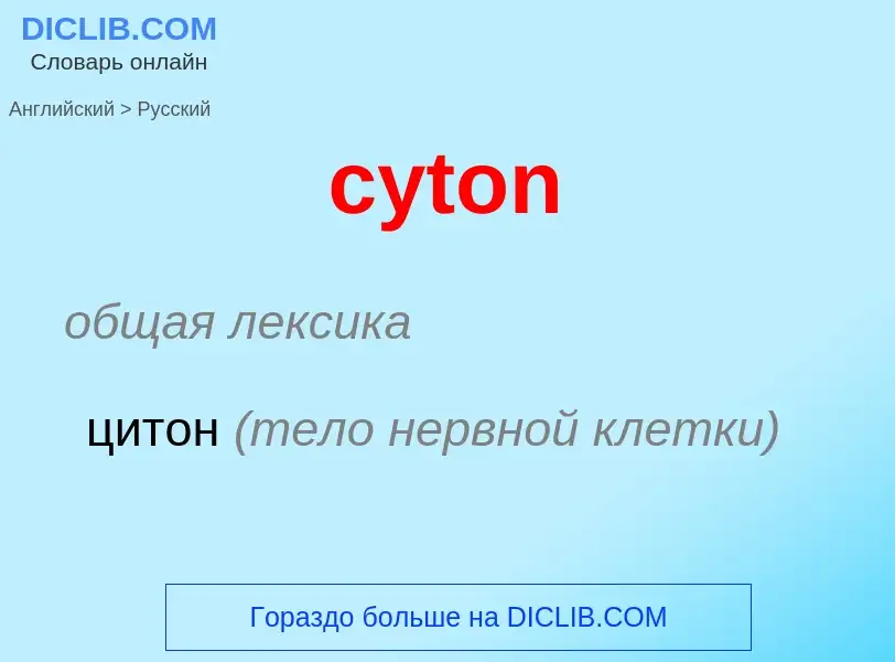 Как переводится cyton на Русский язык