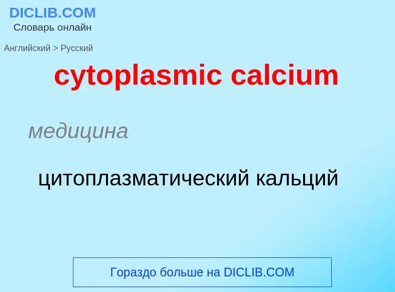 Как переводится cytoplasmic calcium на Русский язык