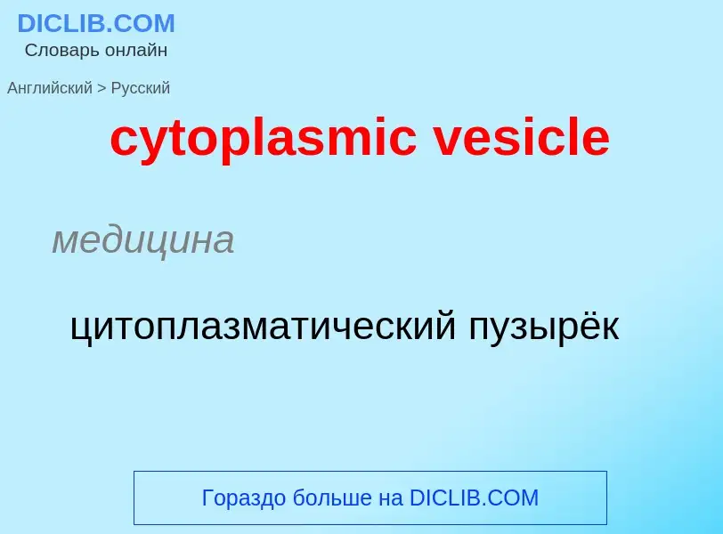 Как переводится cytoplasmic vesicle на Русский язык