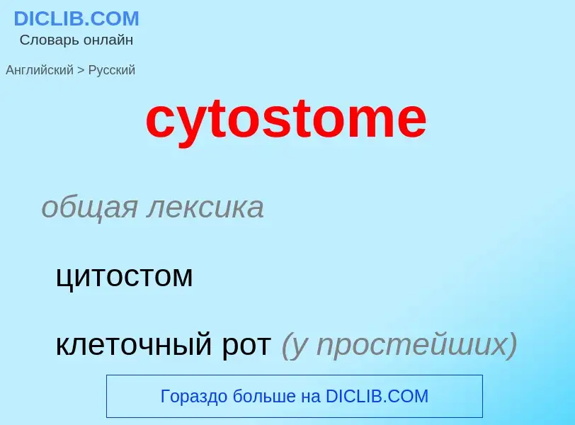 Μετάφραση του &#39cytostome&#39 σε Ρωσικά