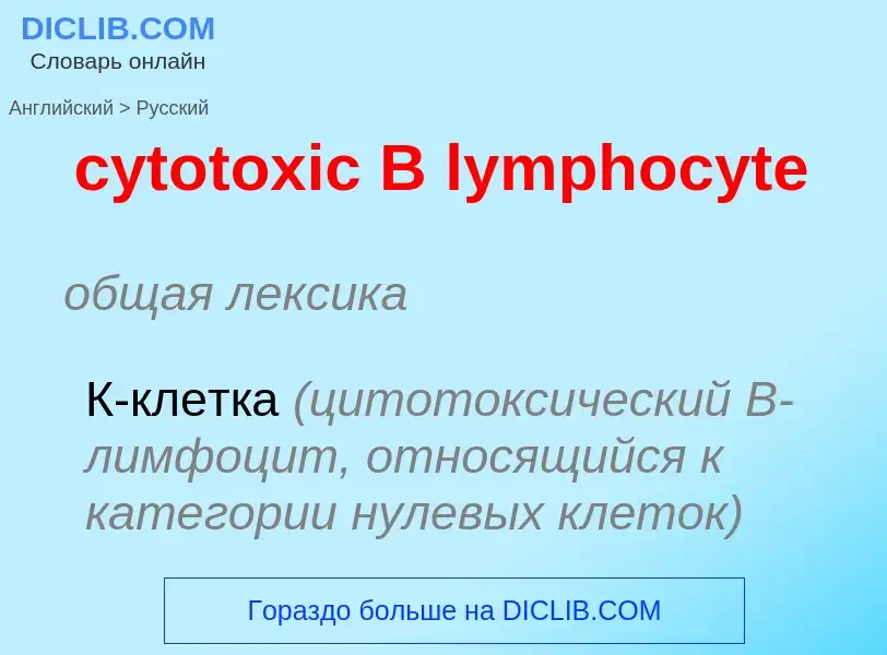 Como se diz cytotoxic B lymphocyte em Russo? Tradução de &#39cytotoxic B lymphocyte&#39 em Russo