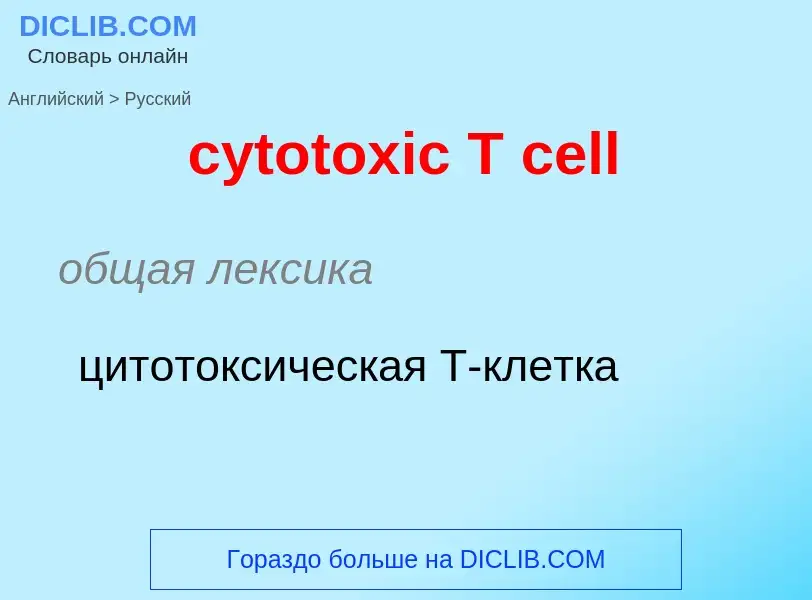 Как переводится cytotoxic T cell на Русский язык