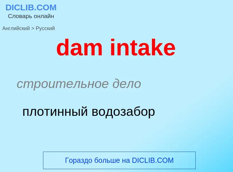 Как переводится dam intake на Русский язык