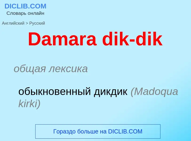 Как переводится Damara dik-dik на Русский язык