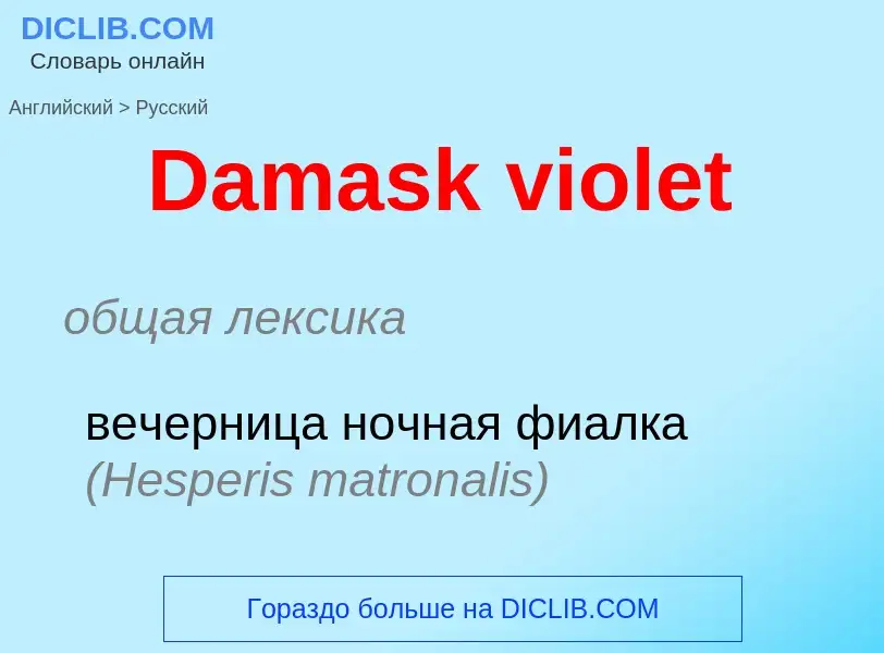 Vertaling van &#39Damask violet&#39 naar Russisch