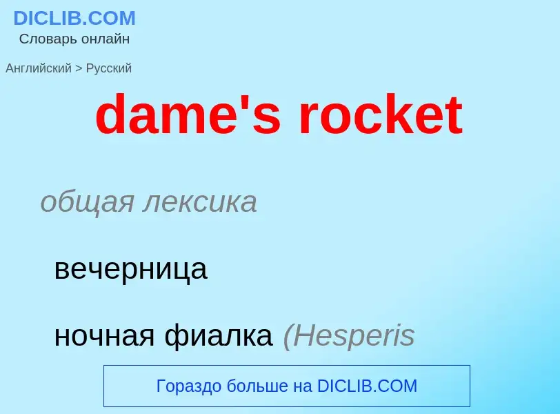 Vertaling van &#39dame's rocket&#39 naar Russisch