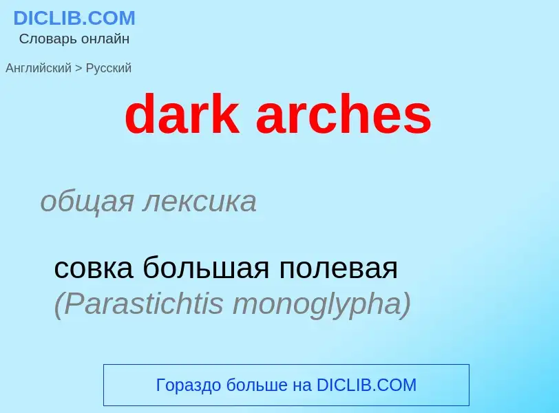 Как переводится dark arches на Русский язык