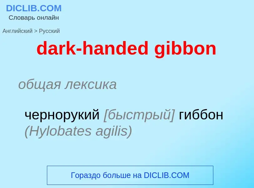 What is the Russian for dark-handed gibbon? Translation of &#39dark-handed gibbon&#39 to Russian