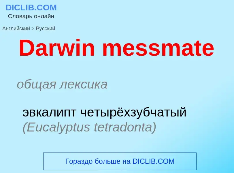 Como se diz Darwin messmate em Russo? Tradução de &#39Darwin messmate&#39 em Russo