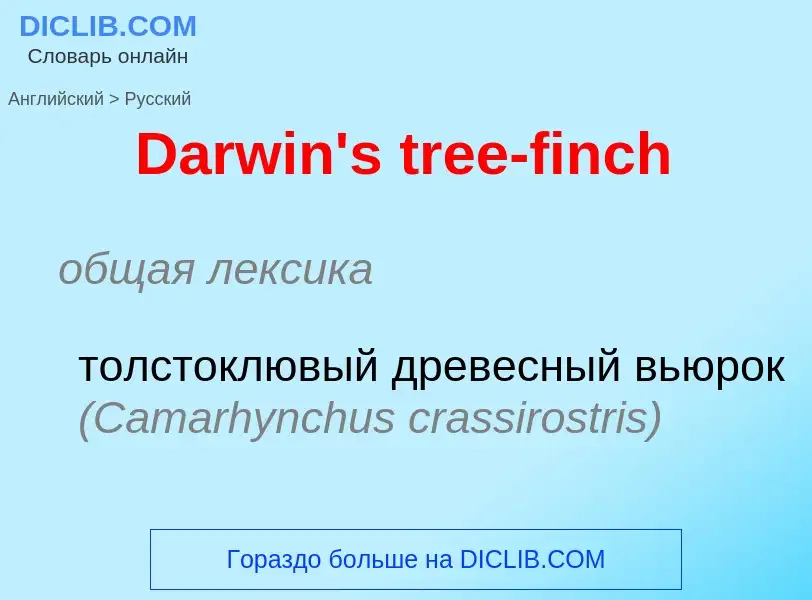 Como se diz Darwin's tree-finch em Russo? Tradução de &#39Darwin's tree-finch&#39 em Russo