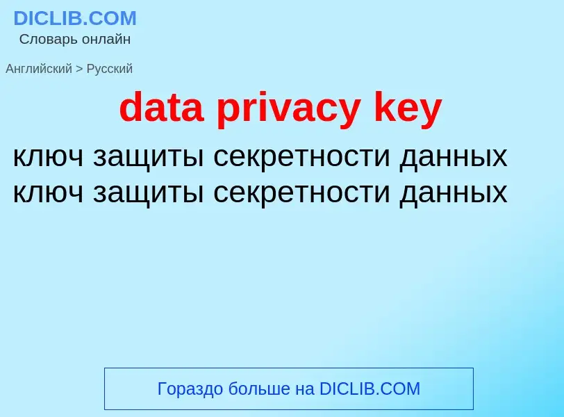 What is the Russian for data privacy key? Translation of &#39data privacy key&#39 to Russian