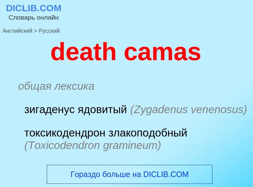 Como se diz death camas em Russo? Tradução de &#39death camas&#39 em Russo