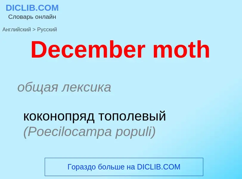 Vertaling van &#39December moth&#39 naar Russisch