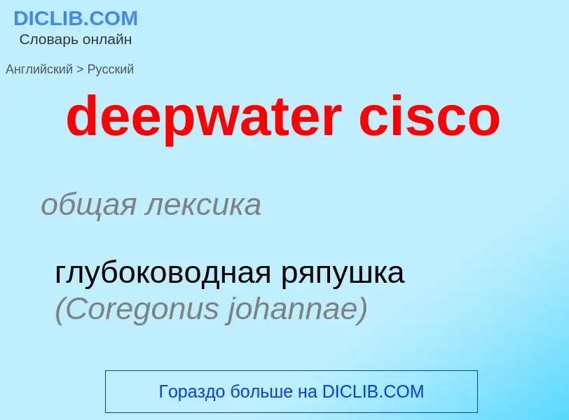 ¿Cómo se dice deepwater cisco en Ruso? Traducción de &#39deepwater cisco&#39 al Ruso