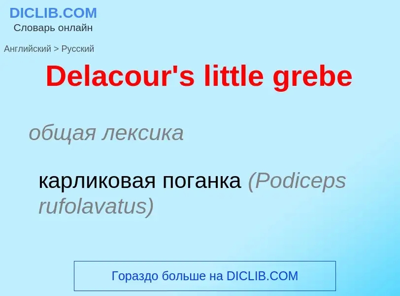 Como se diz Delacour's little grebe em Russo? Tradução de &#39Delacour's little grebe&#39 em Russo