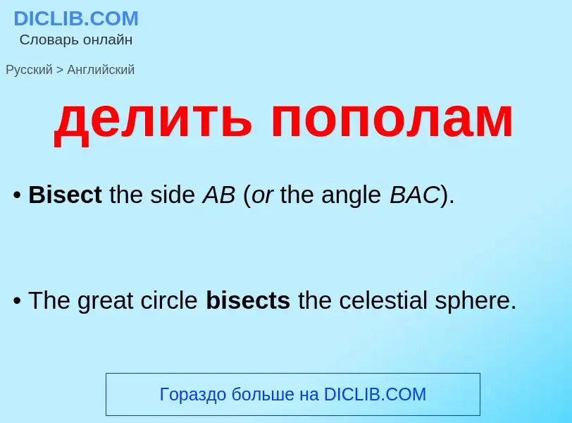 Как переводится делить пополам на Английский язык