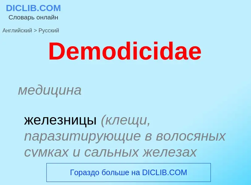 Como se diz Demodicidae em Russo? Tradução de &#39Demodicidae&#39 em Russo