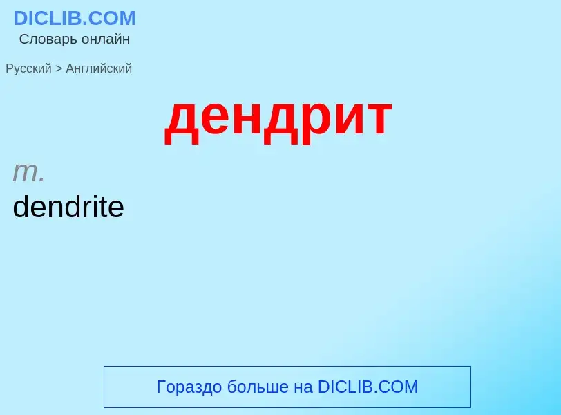 Как переводится дендрит на Английский язык