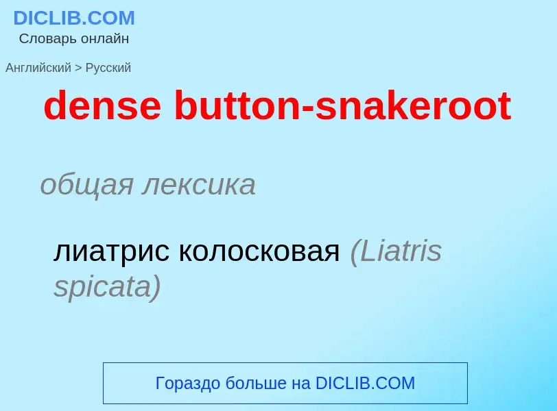 Как переводится dense button-snakeroot на Русский язык