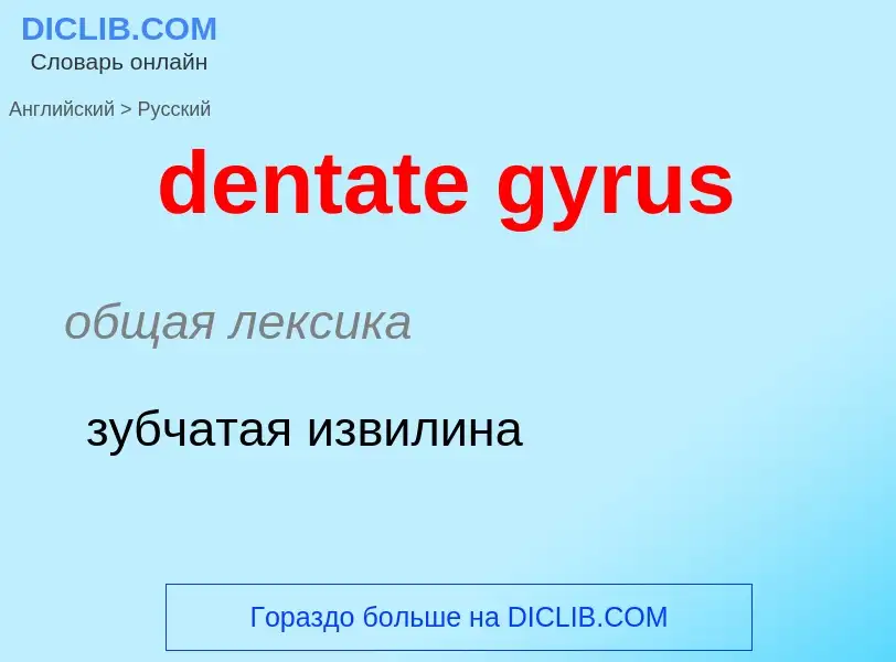 Μετάφραση του &#39dentate gyrus&#39 σε Ρωσικά