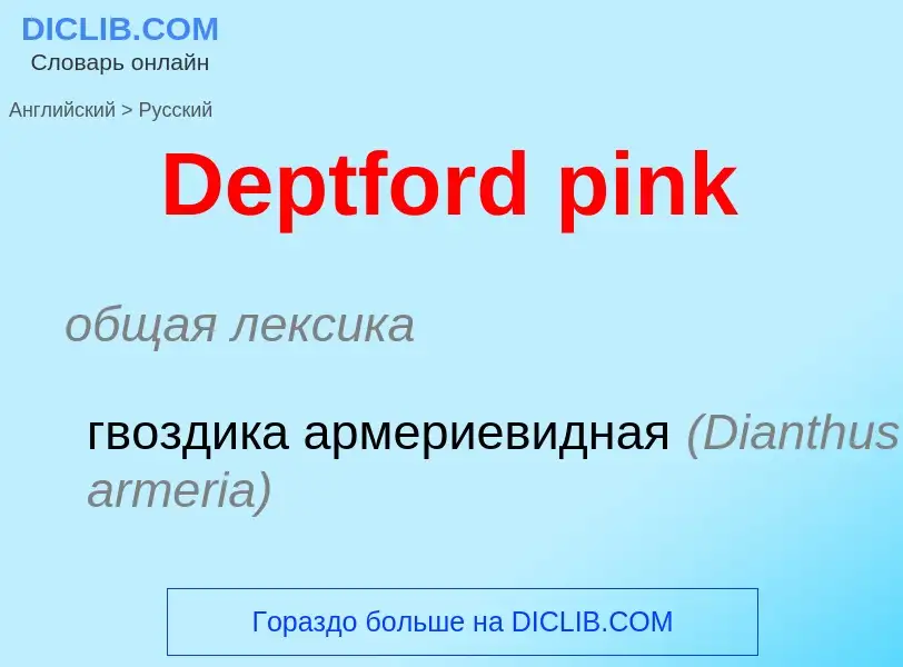 Como se diz Deptford pink em Russo? Tradução de &#39Deptford pink&#39 em Russo