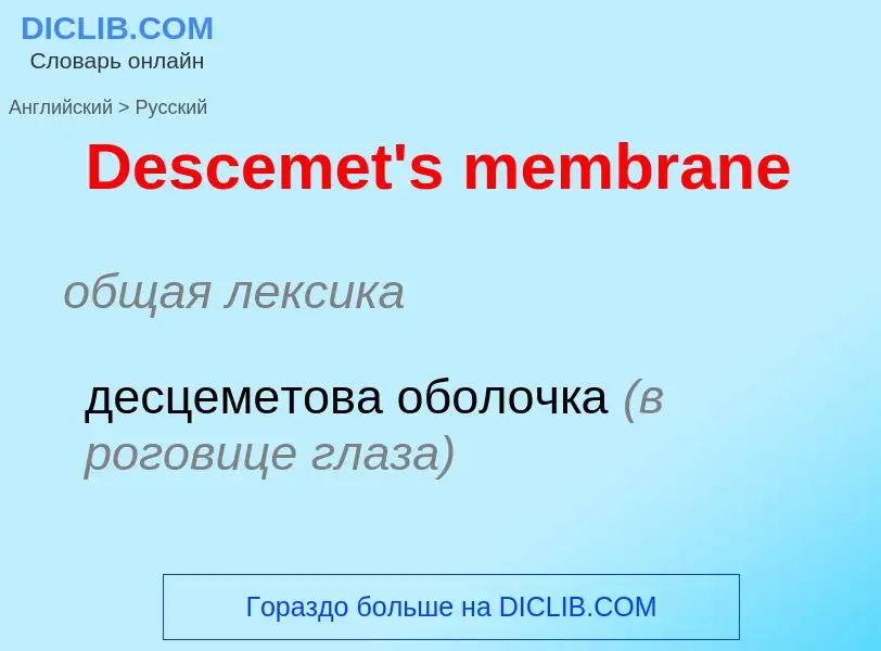 Como se diz Descemet's membrane em Russo? Tradução de &#39Descemet's membrane&#39 em Russo