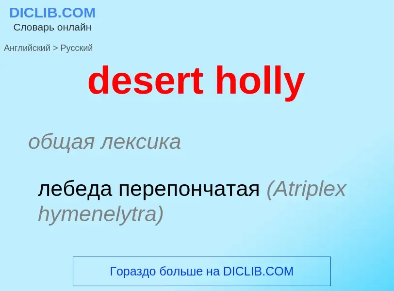 Как переводится desert holly на Русский язык