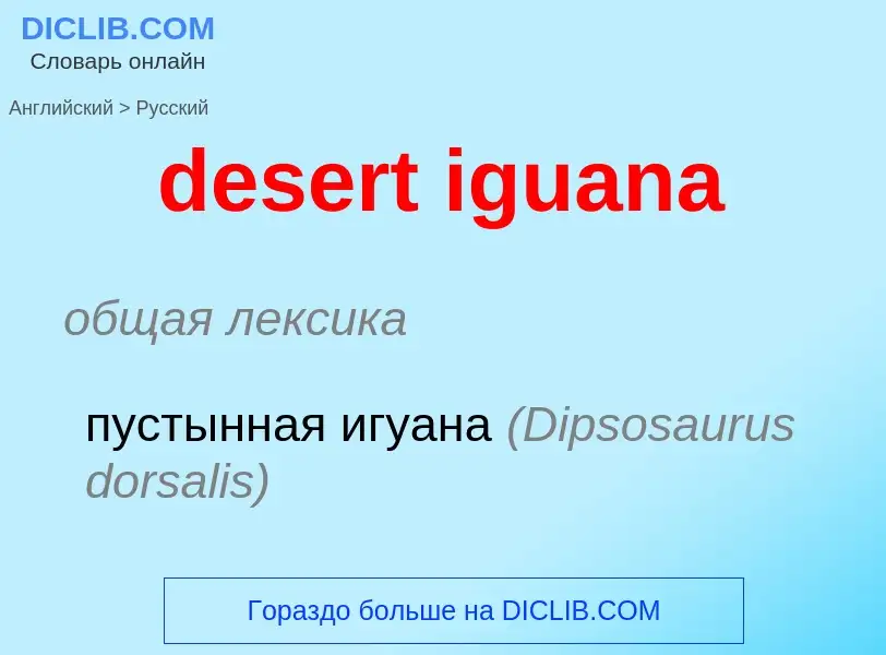 Μετάφραση του &#39desert iguana&#39 σε Ρωσικά