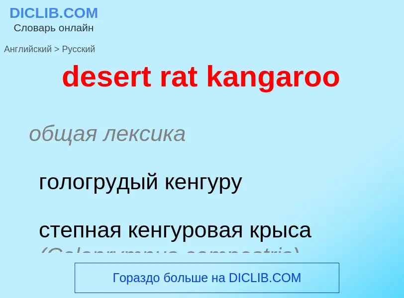 Как переводится desert rat kangaroo на Русский язык