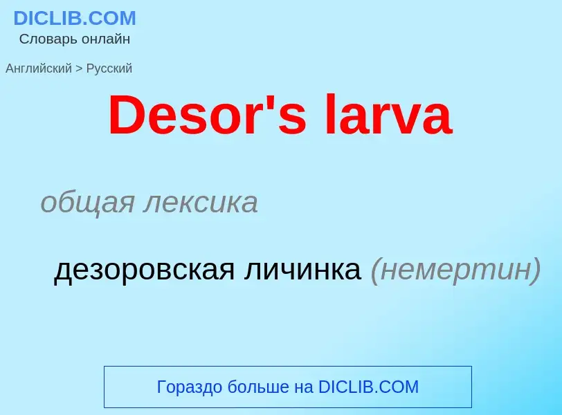 Como se diz Desor's larva em Russo? Tradução de &#39Desor's larva&#39 em Russo