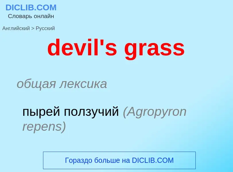 Como se diz devil's grass em Russo? Tradução de &#39devil's grass&#39 em Russo