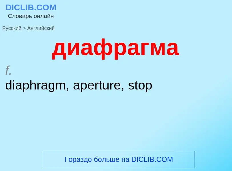 Как переводится диафрагма на Английский язык