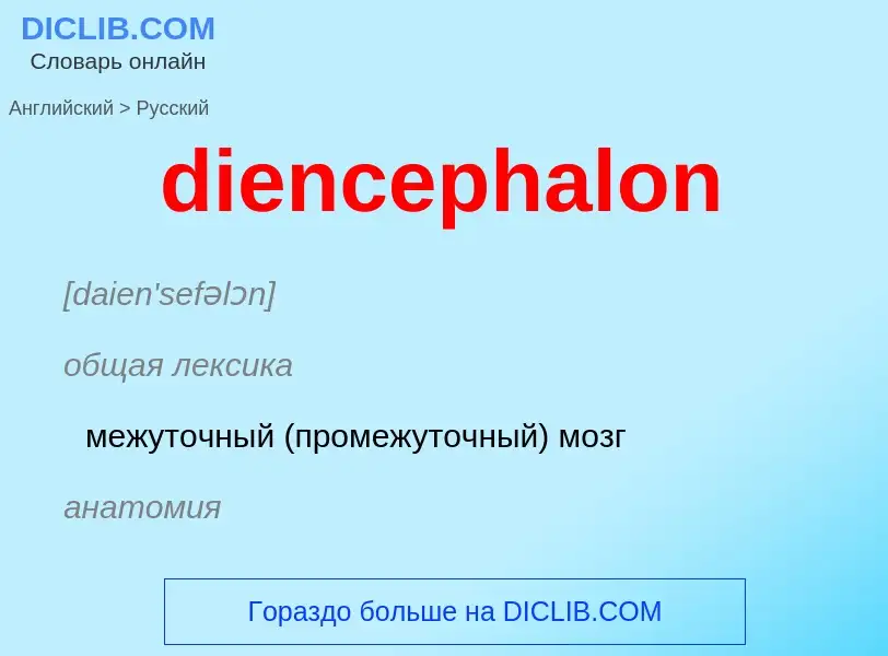 ¿Cómo se dice diencephalon en Ruso? Traducción de &#39diencephalon&#39 al Ruso