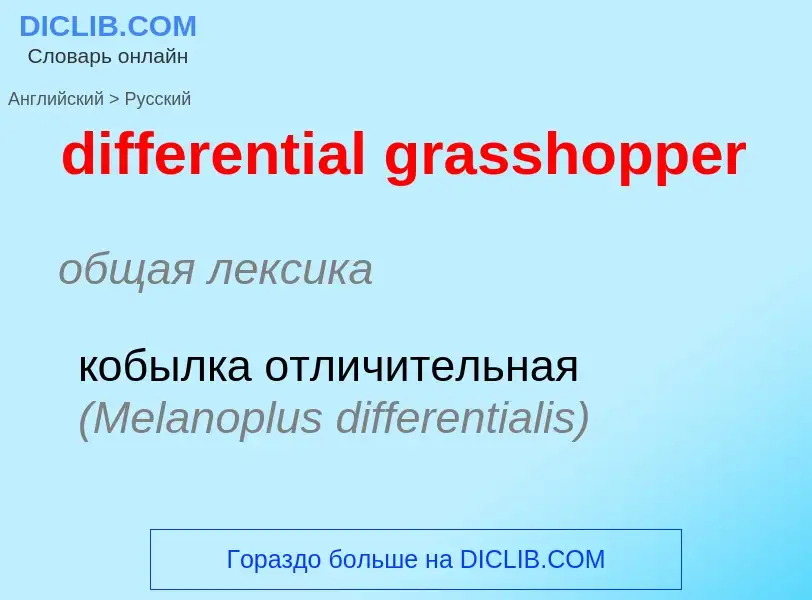 Как переводится differential grasshopper на Русский язык