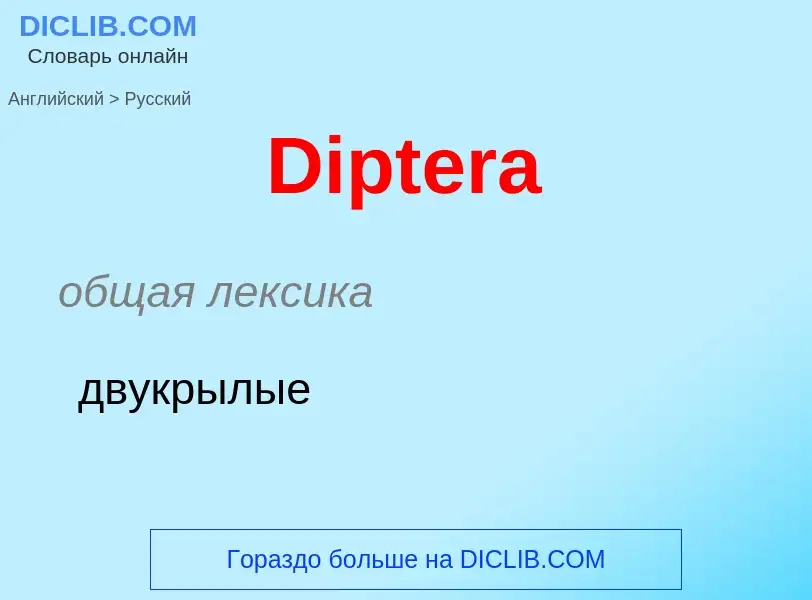 Como se diz Diptera em Russo? Tradução de &#39Diptera&#39 em Russo