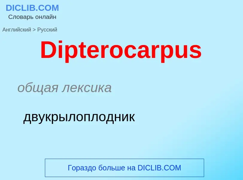 Como se diz Dipterocarpus em Russo? Tradução de &#39Dipterocarpus&#39 em Russo