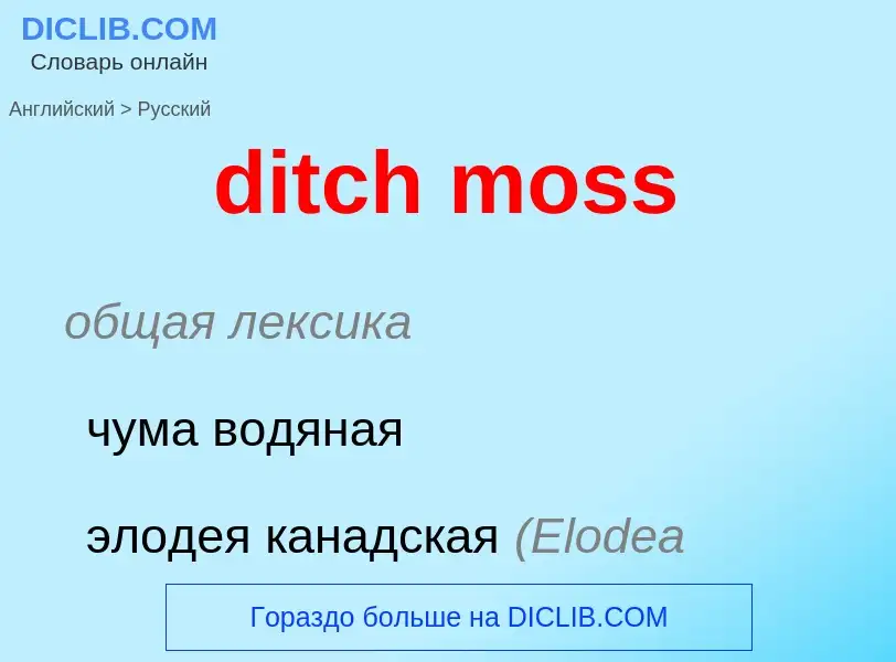 Como se diz ditch moss em Russo? Tradução de &#39ditch moss&#39 em Russo