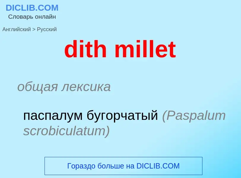 Übersetzung von &#39dith millet&#39 in Russisch