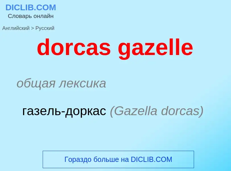 What is the Russian for dorcas gazelle? Translation of &#39dorcas gazelle&#39 to Russian