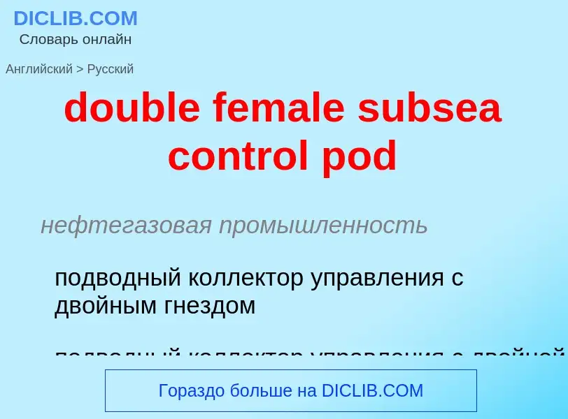 Vertaling van &#39double female subsea control pod&#39 naar Russisch