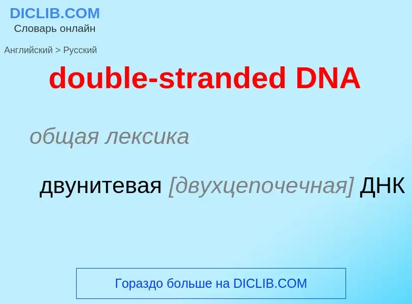 Vertaling van &#39double-stranded DNA&#39 naar Russisch