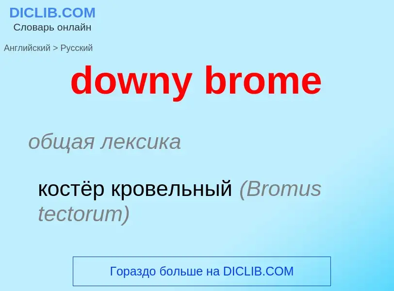 Как переводится downy brome на Русский язык