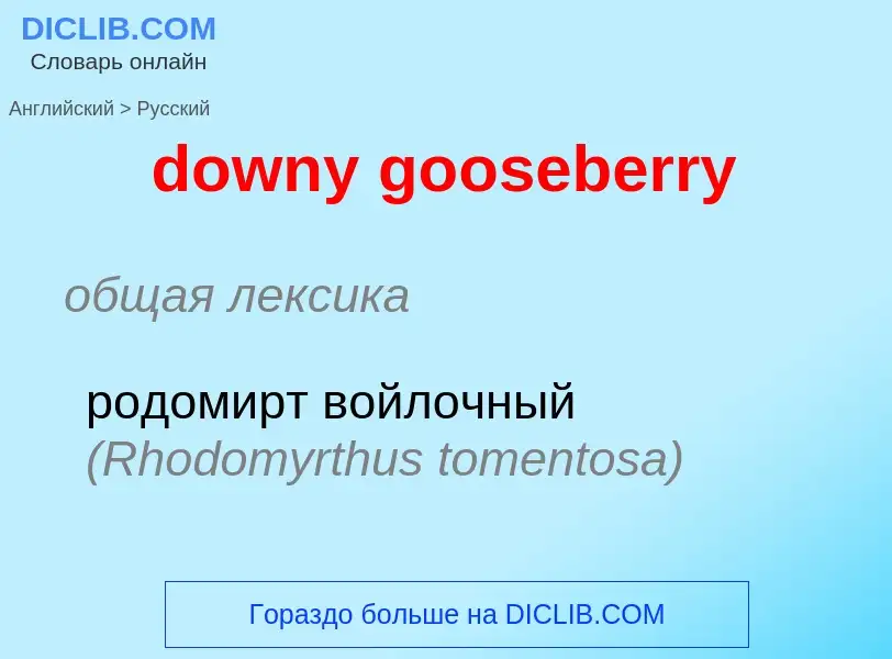 Как переводится downy gooseberry на Русский язык