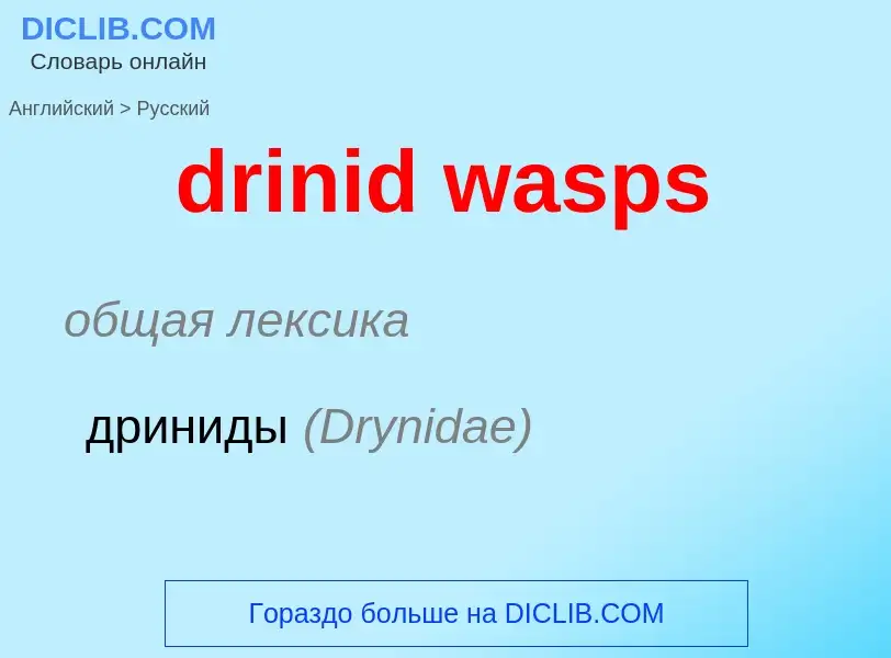 Μετάφραση του &#39drinid wasps&#39 σε Ρωσικά