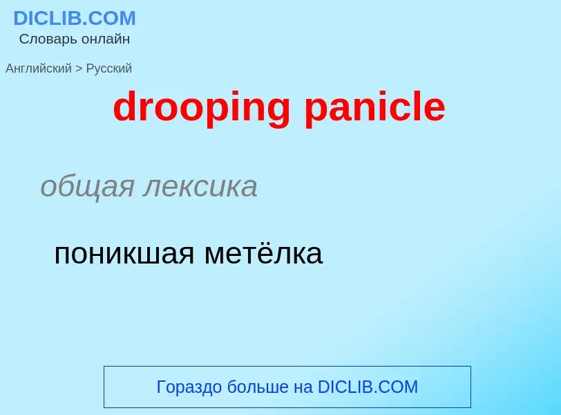 Как переводится drooping panicle на Русский язык