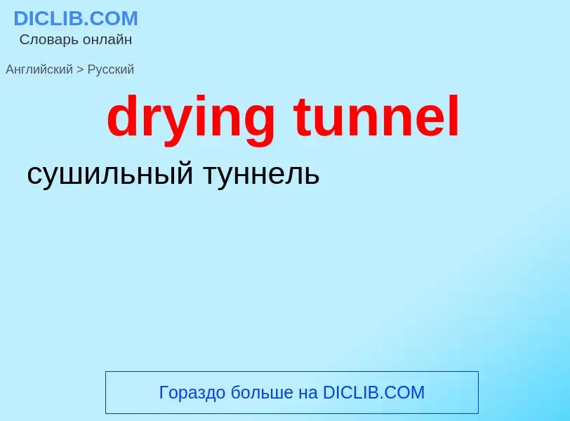 Como se diz drying tunnel em Russo? Tradução de &#39drying tunnel&#39 em Russo