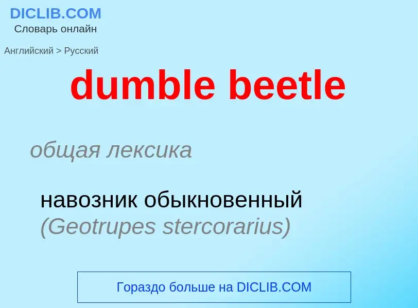 Vertaling van &#39dumble beetle&#39 naar Russisch