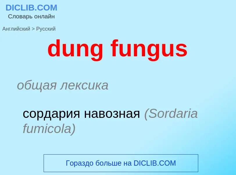 Μετάφραση του &#39dung fungus&#39 σε Ρωσικά